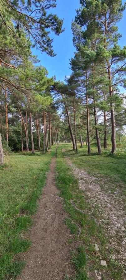 Ferienapartment Wilma Grunsfeld Екстериор снимка